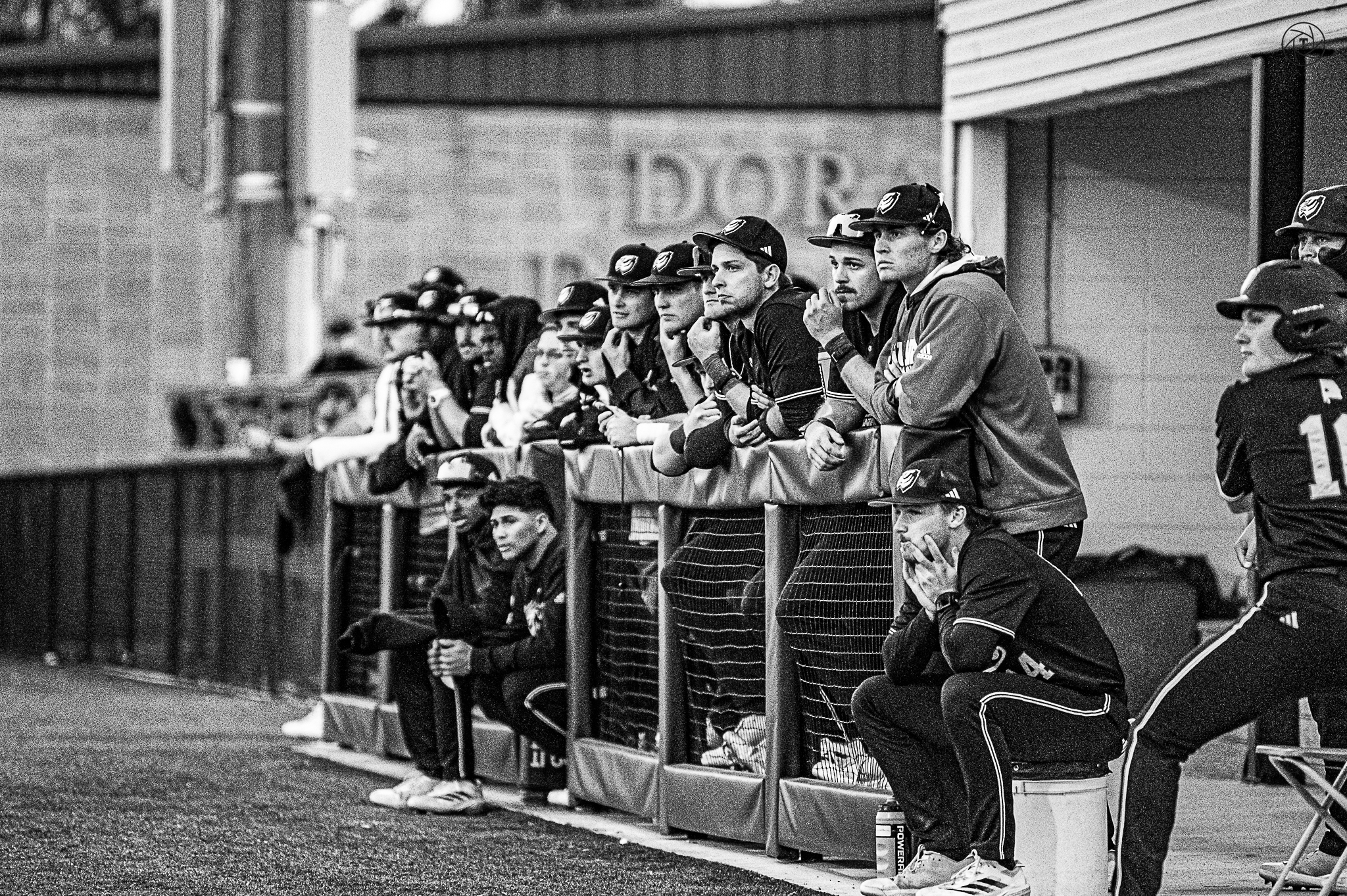 UWA Baseball series